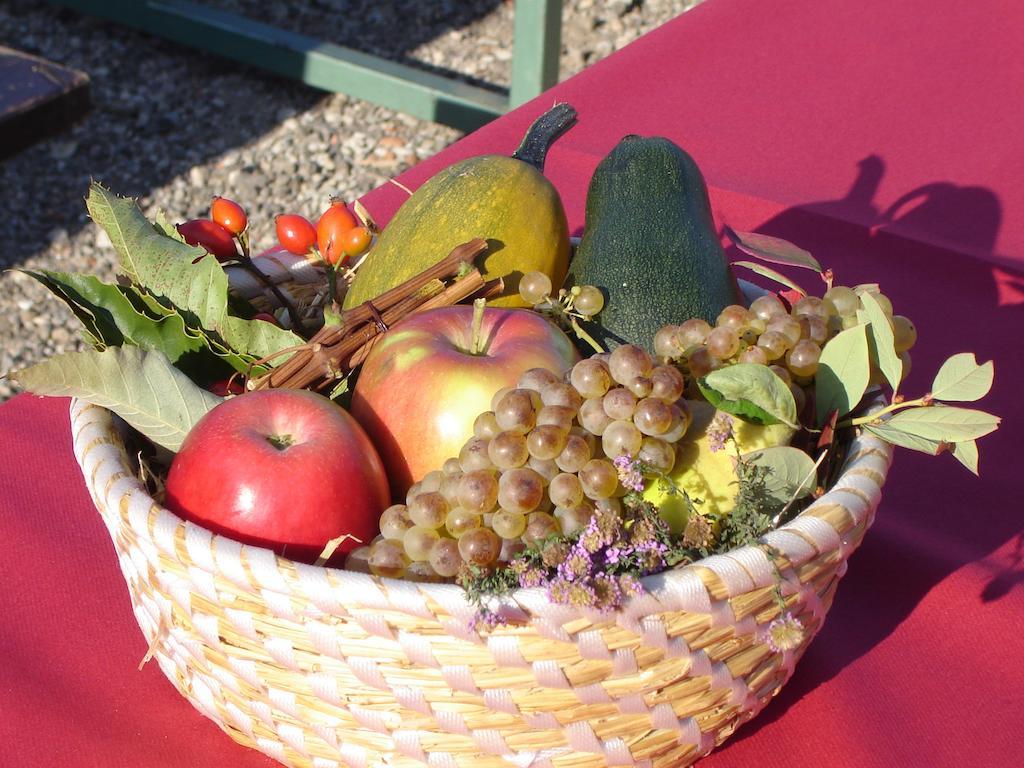 Farm Stay Jarc Vineyard Svecina ภายนอก รูปภาพ