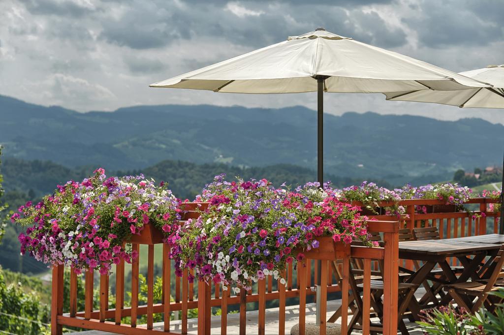 Farm Stay Jarc Vineyard Svecina ภายนอก รูปภาพ