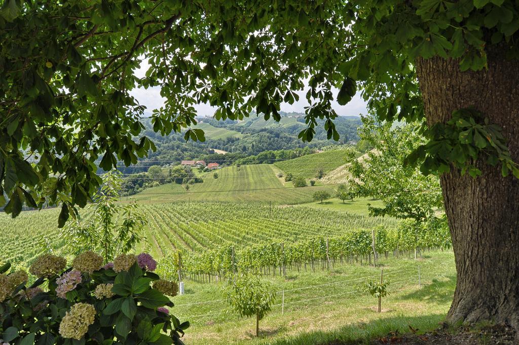 Farm Stay Jarc Vineyard Svecina ภายนอก รูปภาพ