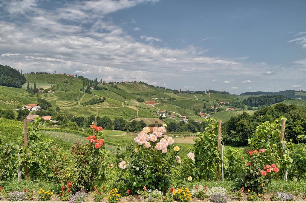 Farm Stay Jarc Vineyard Svecina ภายนอก รูปภาพ