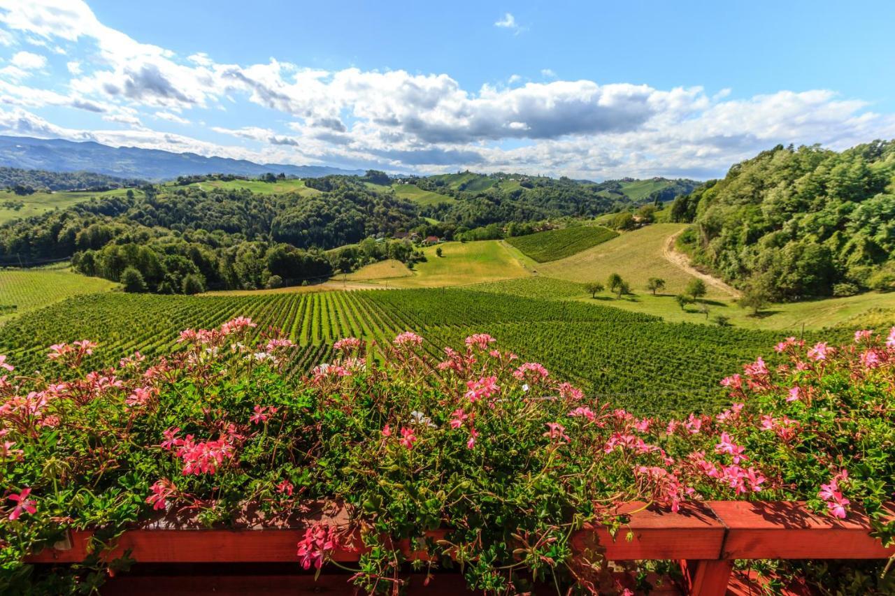 Farm Stay Jarc Vineyard Svecina ภายนอก รูปภาพ