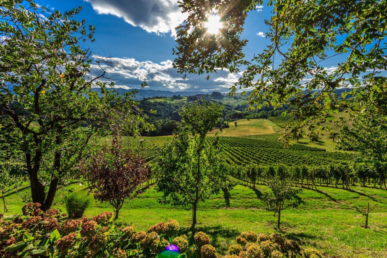 Farm Stay Jarc Vineyard Svecina ภายนอก รูปภาพ